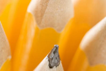 A bouquet of sharpened pencils