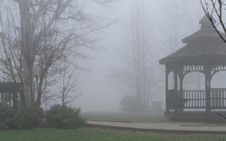 foggy morning in Monteagle