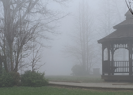 foggy morning in Monteagle