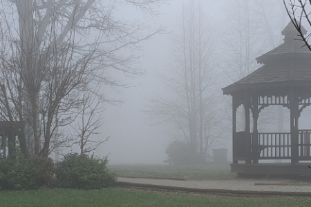 foggy morning in Monteagle